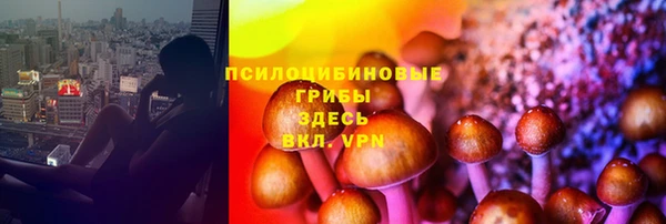 гашик Новодвинск