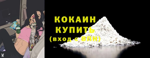 apvp Няндома