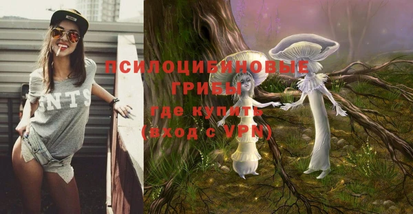 apvp Няндома