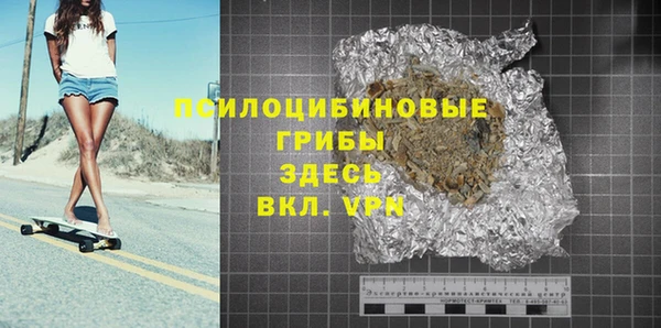 apvp Няндома