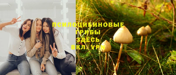 хмурый Нязепетровск