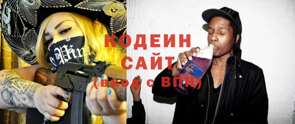 apvp Няндома