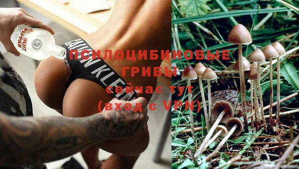 хмурый Нязепетровск