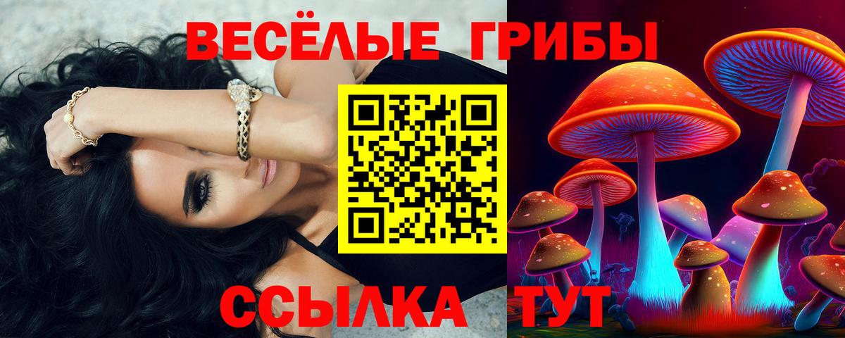 Галлюциногенные грибы Magic Shrooms  Вход с VPN  Заинск 